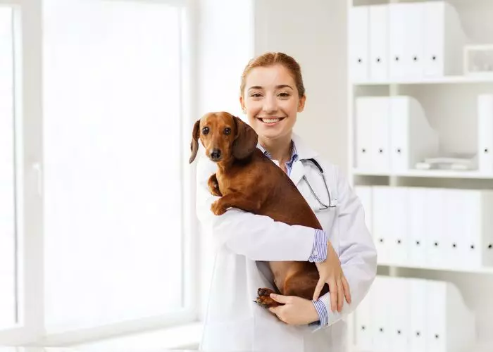 Consulta tu médico veterinario de confianza